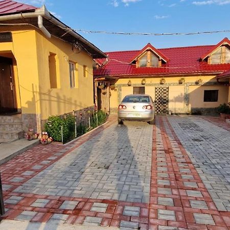 Pensiunea Casa Andreea Novaci-Străini Extérieur photo