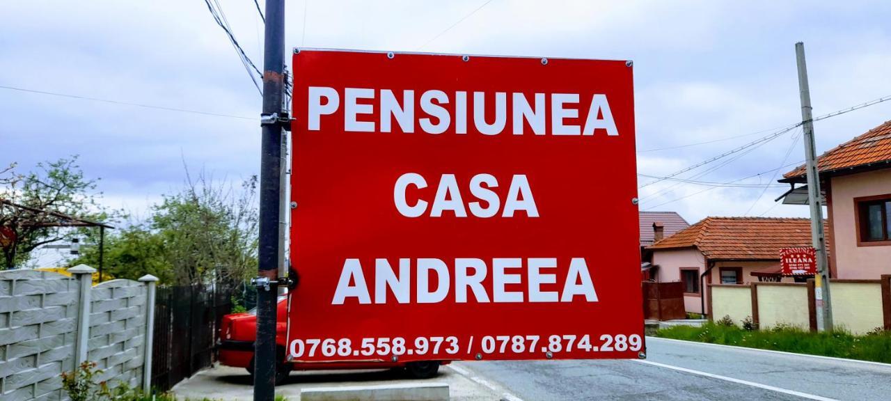 Pensiunea Casa Andreea Novaci-Străini Extérieur photo