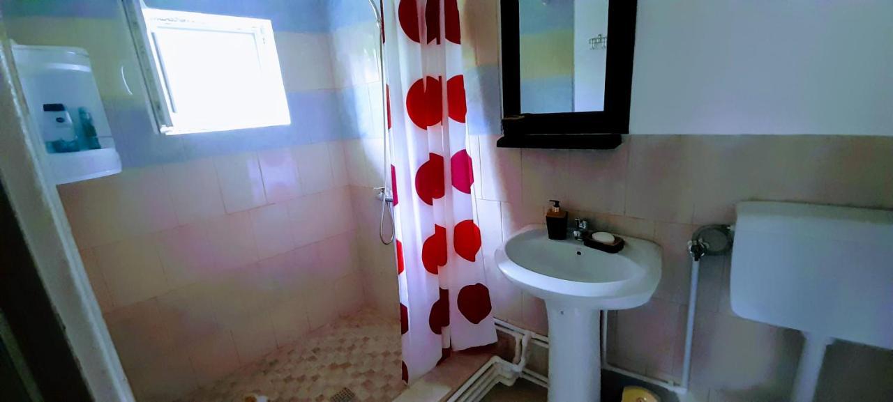 Pensiunea Casa Andreea Novaci-Străini Extérieur photo
