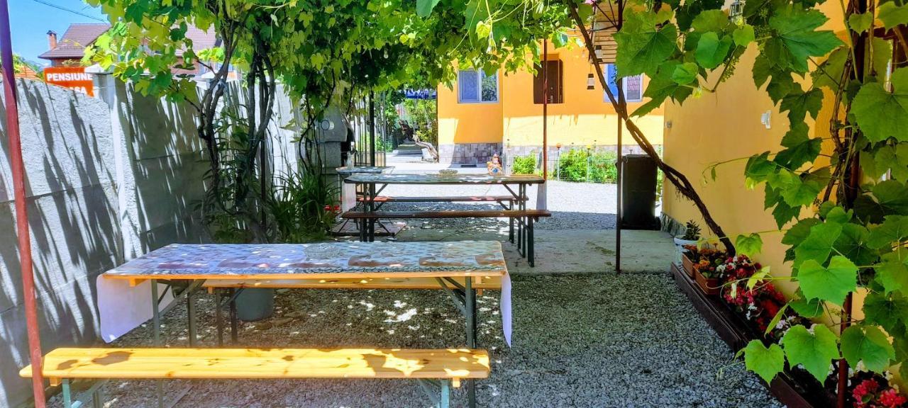 Pensiunea Casa Andreea Novaci-Străini Extérieur photo