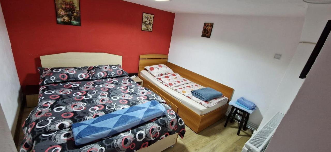 Pensiunea Casa Andreea Novaci-Străini Extérieur photo