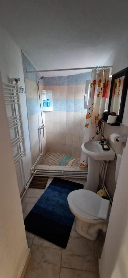 Pensiunea Casa Andreea Novaci-Străini Extérieur photo