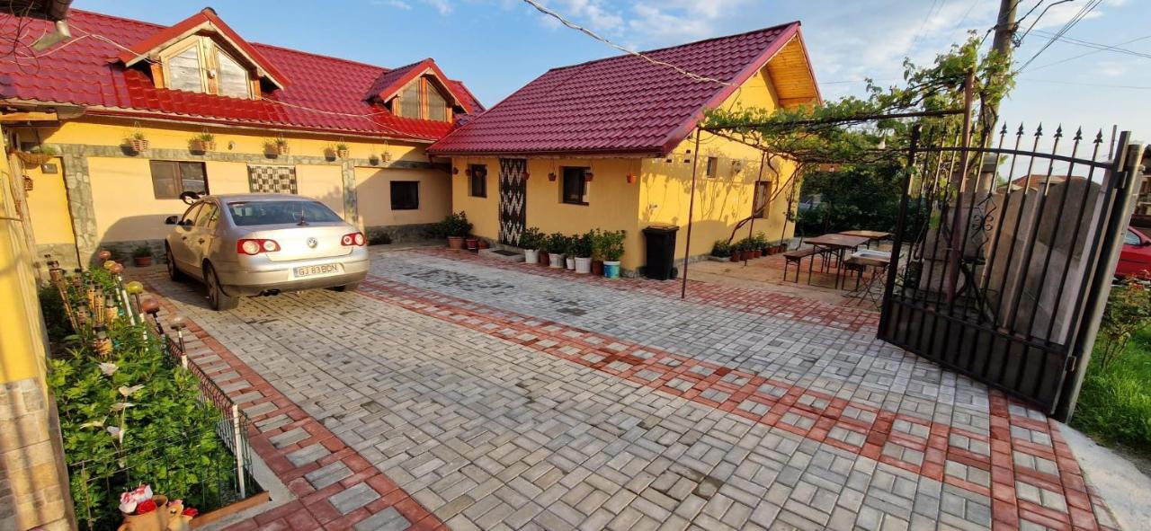 Pensiunea Casa Andreea Novaci-Străini Extérieur photo