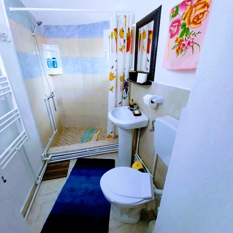 Pensiunea Casa Andreea Novaci-Străini Extérieur photo