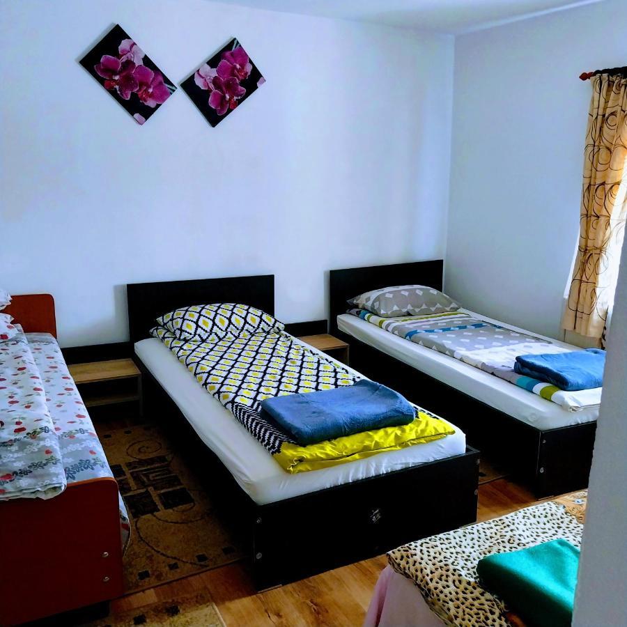 Pensiunea Casa Andreea Novaci-Străini Extérieur photo